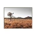 Picture of One Tree _GroupedProduct_Rectangle_Landscape_Photography _GroupedProduct_Rectangle_Landscape_Canvas_Framed_