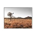 Picture of One Tree _GroupedProduct_Rectangle_Landscape_Photography _GroupedProduct_Rectangle_Landscape_Canvas_Framed_