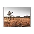 Picture of One Tree _GroupedProduct_Rectangle_Landscape_Photography _GroupedProduct_Rectangle_Landscape_Canvas_Framed_