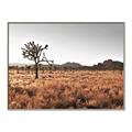 Picture of One Tree _GroupedProduct_Rectangle_Landscape_Photography _GroupedProduct_Rectangle_Landscape_Canvas_Framed_