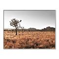 Picture of One Tree _GroupedProduct_Rectangle_Landscape_Photography _GroupedProduct_Rectangle_Landscape_Canvas_Framed_