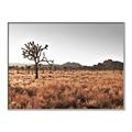Picture of One Tree _GroupedProduct_Rectangle_Landscape_Photography _GroupedProduct_Rectangle_Landscape_Canvas_Framed_