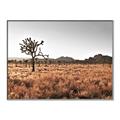 Picture of One Tree _GroupedProduct_Rectangle_Landscape_Photography _GroupedProduct_Rectangle_Landscape_Canvas_Framed_