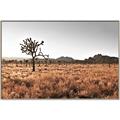 Picture of One Tree _GroupedProduct_Rectangle_Landscape_Photography _GroupedProduct_Rectangle_Landscape_Canvas_Framed_