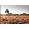 Picture of One Tree _GroupedProduct_Rectangle_Landscape_Photography _GroupedProduct_Rectangle_Landscape_Canvas_Framed_