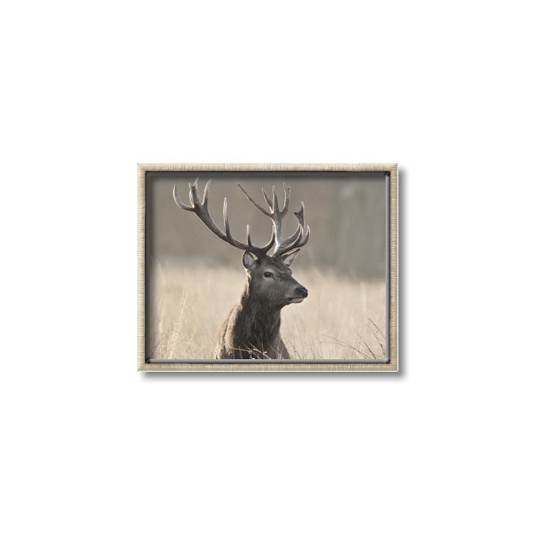 Picture of Head Above _GroupedProduct_Rectangle_Landscape_Photography _GroupedProduct_Rectangle_Landscape_Canvas_Framed_