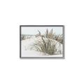 Picture of Sand Dunes _GroupedProduct_Rectangle_Landscape_Photography _GroupedProduct_Rectangle_Landscape_Canvas_Framed_