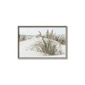 Picture of Sand Dunes _GroupedProduct_Rectangle_Landscape_Photography _GroupedProduct_Rectangle_Landscape_Canvas_Framed_