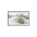 Picture of Sand Dunes _GroupedProduct_Rectangle_Landscape_Photography _GroupedProduct_Rectangle_Landscape_Canvas_Framed_
