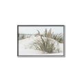Picture of Sand Dunes _GroupedProduct_Rectangle_Landscape_Photography _GroupedProduct_Rectangle_Landscape_Canvas_Framed_