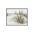 Picture of Sand Dunes _GroupedProduct_Rectangle_Landscape_Photography _GroupedProduct_Rectangle_Landscape_Canvas_Framed_