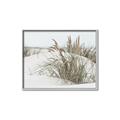 Picture of Sand Dunes _GroupedProduct_Rectangle_Landscape_Photography _GroupedProduct_Rectangle_Landscape_Canvas_Framed_