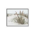 Picture of Sand Dunes _GroupedProduct_Rectangle_Landscape_Photography _GroupedProduct_Rectangle_Landscape_Canvas_Framed_