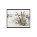 Picture of Sand Dunes _GroupedProduct_Rectangle_Landscape_Photography _GroupedProduct_Rectangle_Landscape_Canvas_Framed_
