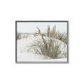 Picture of Sand Dunes _GroupedProduct_Rectangle_Landscape_Photography _GroupedProduct_Rectangle_Landscape_Canvas_Framed_
