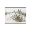 Picture of Sand Dunes _GroupedProduct_Rectangle_Landscape_Photography _GroupedProduct_Rectangle_Landscape_Canvas_Framed_