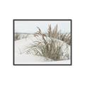 Picture of Sand Dunes _GroupedProduct_Rectangle_Landscape_Photography _GroupedProduct_Rectangle_Landscape_Canvas_Framed_