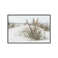 Picture of Sand Dunes _GroupedProduct_Rectangle_Landscape_Photography _GroupedProduct_Rectangle_Landscape_Canvas_Framed_