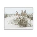 Picture of Sand Dunes _GroupedProduct_Rectangle_Landscape_Photography _GroupedProduct_Rectangle_Landscape_Canvas_Framed_