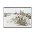 Picture of Sand Dunes _GroupedProduct_Rectangle_Landscape_Photography _GroupedProduct_Rectangle_Landscape_Canvas_Framed_