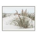 Picture of Sand Dunes _GroupedProduct_Rectangle_Landscape_Photography _GroupedProduct_Rectangle_Landscape_Canvas_Framed_