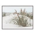 Picture of Sand Dunes _GroupedProduct_Rectangle_Landscape_Photography _GroupedProduct_Rectangle_Landscape_Canvas_Framed_