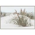 Picture of Sand Dunes _GroupedProduct_Rectangle_Landscape_Photography _GroupedProduct_Rectangle_Landscape_Canvas_Framed_