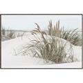 Picture of Sand Dunes _GroupedProduct_Rectangle_Landscape_Photography _GroupedProduct_Rectangle_Landscape_Canvas_Framed_
