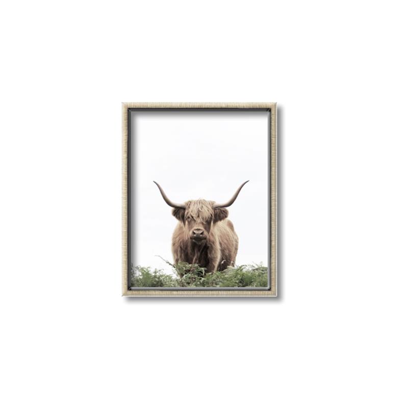 Picture of Cow on the Range _GroupedProduct_Rectangle_Portrait_Photography _GroupedProduct_Rectangle_Portrait_Canvas_Framed_