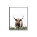 Picture of Cow on the Range _GroupedProduct_Rectangle_Portrait_Photography _GroupedProduct_Rectangle_Portrait_Canvas_Framed_