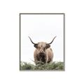 Picture of Cow on the Range _GroupedProduct_Rectangle_Portrait_Photography _GroupedProduct_Rectangle_Portrait_Canvas_Framed_