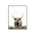 Picture of Cow on the Range _GroupedProduct_Rectangle_Portrait_Photography _GroupedProduct_Rectangle_Portrait_Canvas_Framed_
