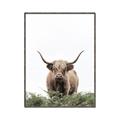 Picture of Cow on the Range _GroupedProduct_Rectangle_Portrait_Photography _GroupedProduct_Rectangle_Portrait_Canvas_Framed_