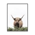 Picture of Cow on the Range _GroupedProduct_Rectangle_Portrait_Photography _GroupedProduct_Rectangle_Portrait_Canvas_Framed_