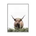 Picture of Cow on the Range _GroupedProduct_Rectangle_Portrait_Photography _GroupedProduct_Rectangle_Portrait_Canvas_Framed_