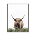 Picture of Cow on the Range _GroupedProduct_Rectangle_Portrait_Photography _GroupedProduct_Rectangle_Portrait_Canvas_Framed_