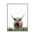 Picture of Cow on the Range _GroupedProduct_Rectangle_Portrait_Photography _GroupedProduct_Rectangle_Portrait_Canvas_Framed_