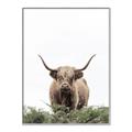 Picture of Cow on the Range _GroupedProduct_Rectangle_Portrait_Photography _GroupedProduct_Rectangle_Portrait_Canvas_Framed_