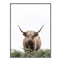 Picture of Cow on the Range _GroupedProduct_Rectangle_Portrait_Photography _GroupedProduct_Rectangle_Portrait_Canvas_Framed_