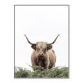 Picture of Cow on the Range _GroupedProduct_Rectangle_Portrait_Photography _GroupedProduct_Rectangle_Portrait_Canvas_Framed_