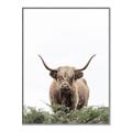 Picture of Cow on the Range _GroupedProduct_Rectangle_Portrait_Photography _GroupedProduct_Rectangle_Portrait_Canvas_Framed_