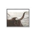 Picture of Bulls Eye View _GroupedProduct_Rectangle_Landscape_Photography _GroupedProduct_Rectangle_Landscape_Canvas_Framed_
