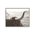 Picture of Bulls Eye View _GroupedProduct_Rectangle_Landscape_Photography _GroupedProduct_Rectangle_Landscape_Canvas_Framed_