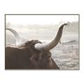 Picture of Bulls Eye View _GroupedProduct_Rectangle_Landscape_Photography _GroupedProduct_Rectangle_Landscape_Canvas_Framed_