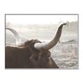 Picture of Bulls Eye View _GroupedProduct_Rectangle_Landscape_Photography _GroupedProduct_Rectangle_Landscape_Canvas_Framed_