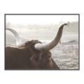 Picture of Bulls Eye View _GroupedProduct_Rectangle_Landscape_Photography _GroupedProduct_Rectangle_Landscape_Canvas_Framed_