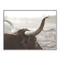 Picture of Bulls Eye View _GroupedProduct_Rectangle_Landscape_Photography _GroupedProduct_Rectangle_Landscape_Canvas_Framed_