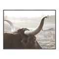 Picture of Bulls Eye View _GroupedProduct_Rectangle_Landscape_Photography _GroupedProduct_Rectangle_Landscape_Canvas_Framed_