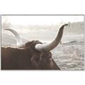 Picture of Bulls Eye View _GroupedProduct_Rectangle_Landscape_Photography _GroupedProduct_Rectangle_Landscape_Canvas_Framed_