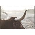 Picture of Bulls Eye View _GroupedProduct_Rectangle_Landscape_Photography _GroupedProduct_Rectangle_Landscape_Canvas_Framed_